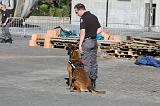 CHIEN D'INTERVENTION 064